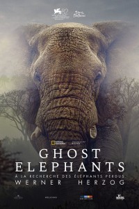 Affiche Ghost Elephants