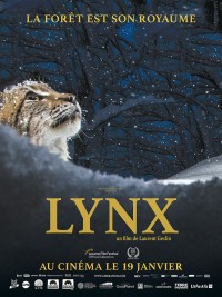 Affiche Lynx
